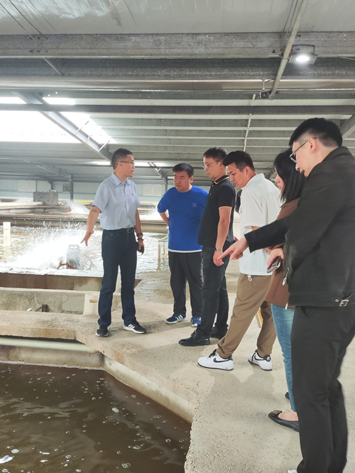 天马科技：鳗鱼业务迎接量价齐升 一二三产业融合稳步发展