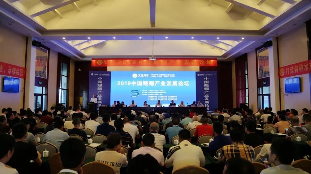 天马科技：鳗鱼业务迎接量价齐升 一二三产业融合稳步发展