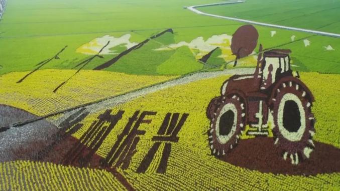 经济半年观察丨湖南：工业增势平稳，筑牢经济“压舱石”