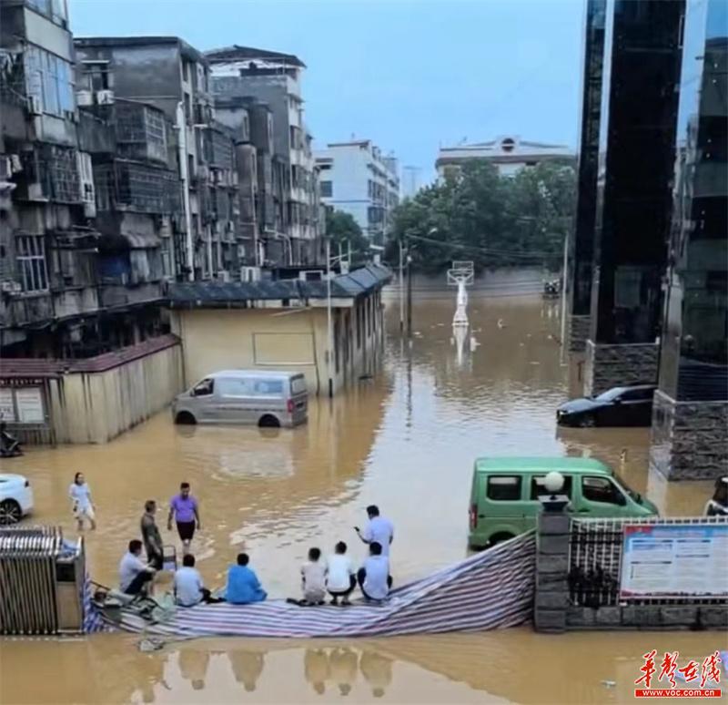 “金融女将”胡茹琰任湖南省融资担保集团党委书记、董事长