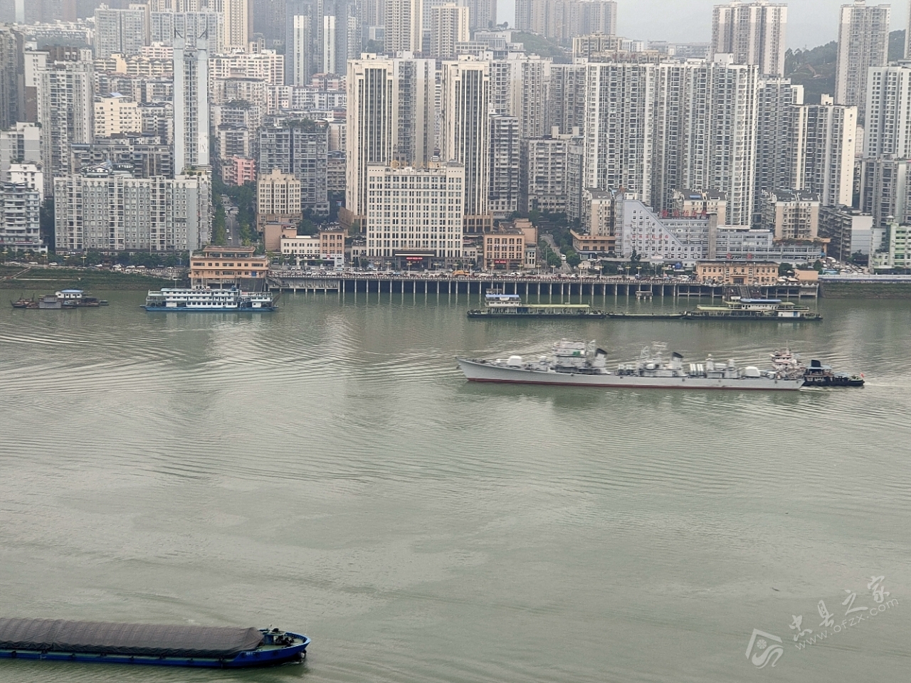 视频｜全国主流媒体走进重庆忠县 解码橘海背后的“致富经”