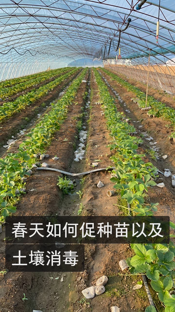 快手湖南农资平台正式启动运营