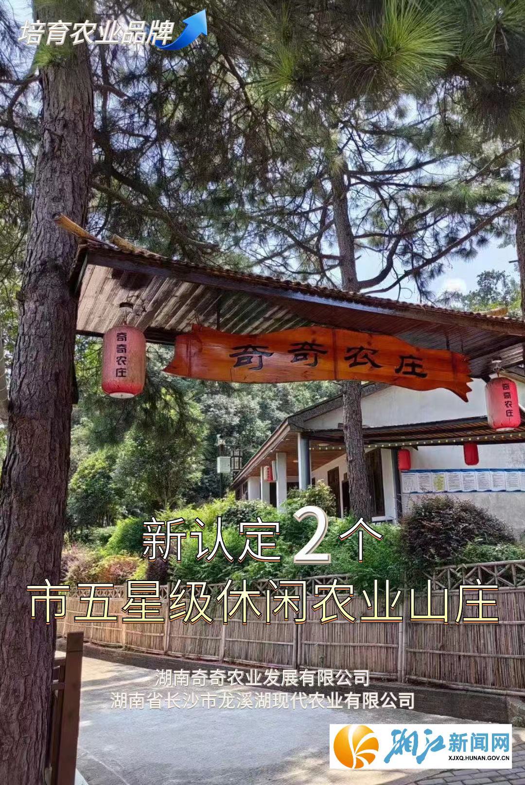 助推产业提质升级 省文旅厅调研湖南旅游集团