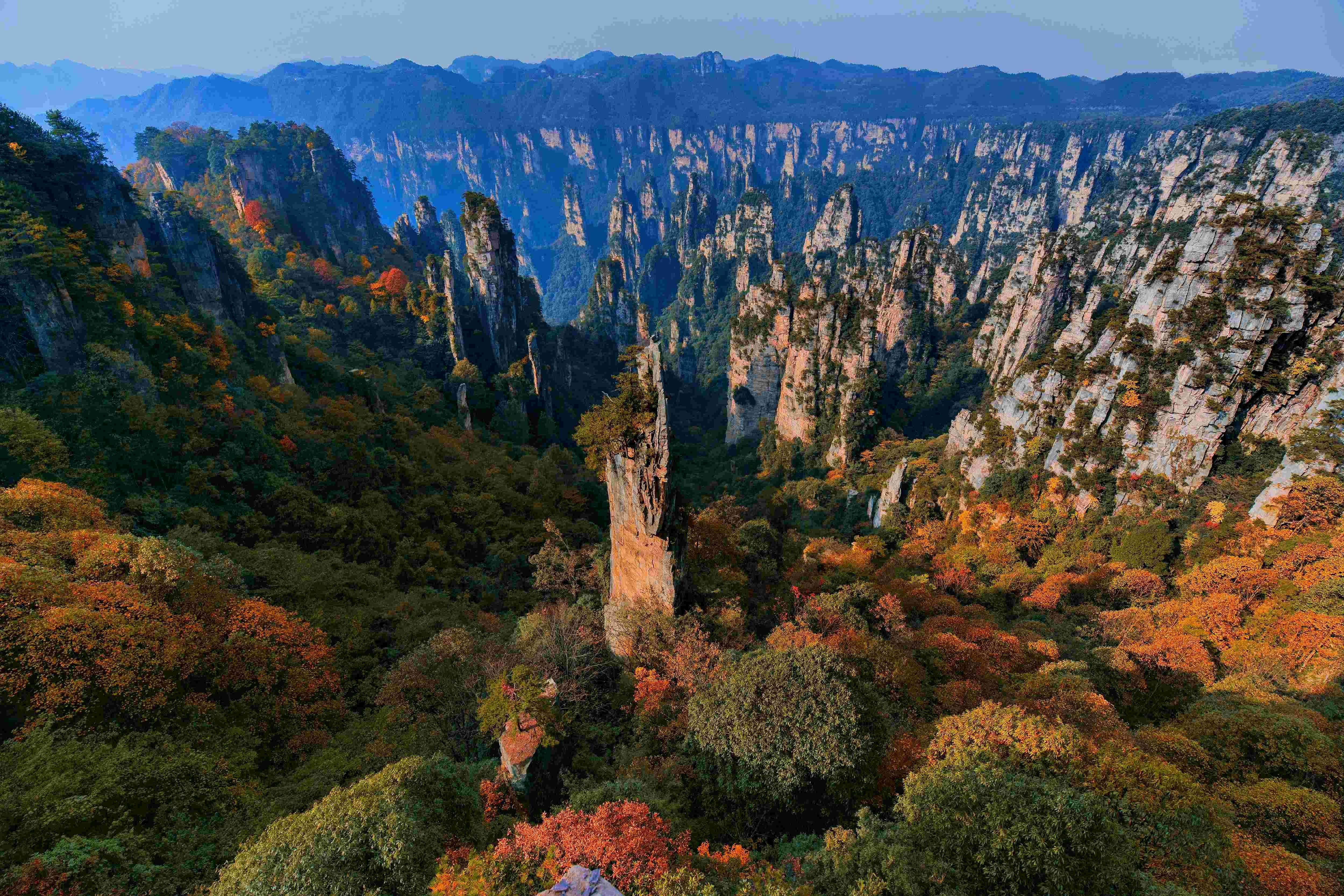 推动文旅融合，赋能研学实践 湖南省旅游协会研学实践分会成立大会举行