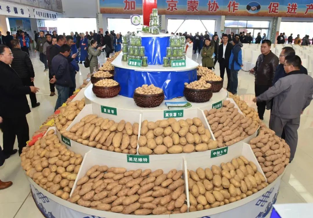 马栏山文化子基金设立！金芙蓉产业引导母基金加速打造子基金投资矩阵