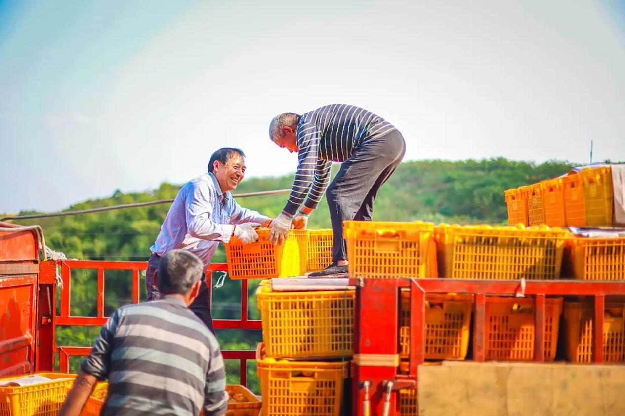 央媒看湖南丨绥宁：乡村蝶变展新颜 绘就振兴新图景