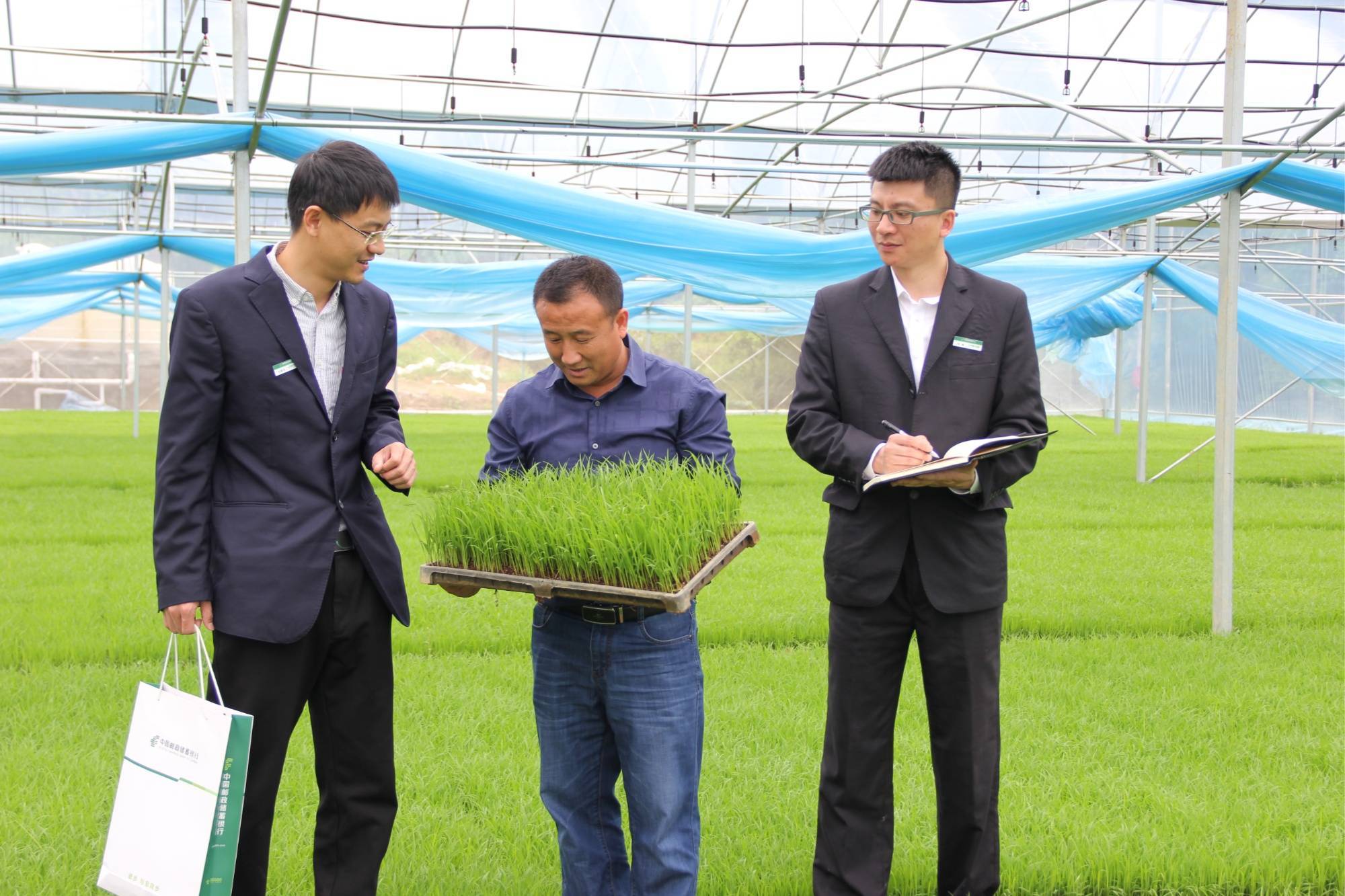 金融活水润三湘 邮储银行长沙市分行激活“三农”金融“新引擎”