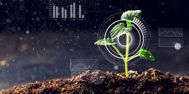 雪天盐业：生态矿山智能升级 守护“舌尖安全”