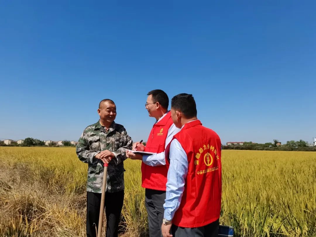 中国农业银行湖南省分行为共筑高水平中非命运共同体贡献金融力量