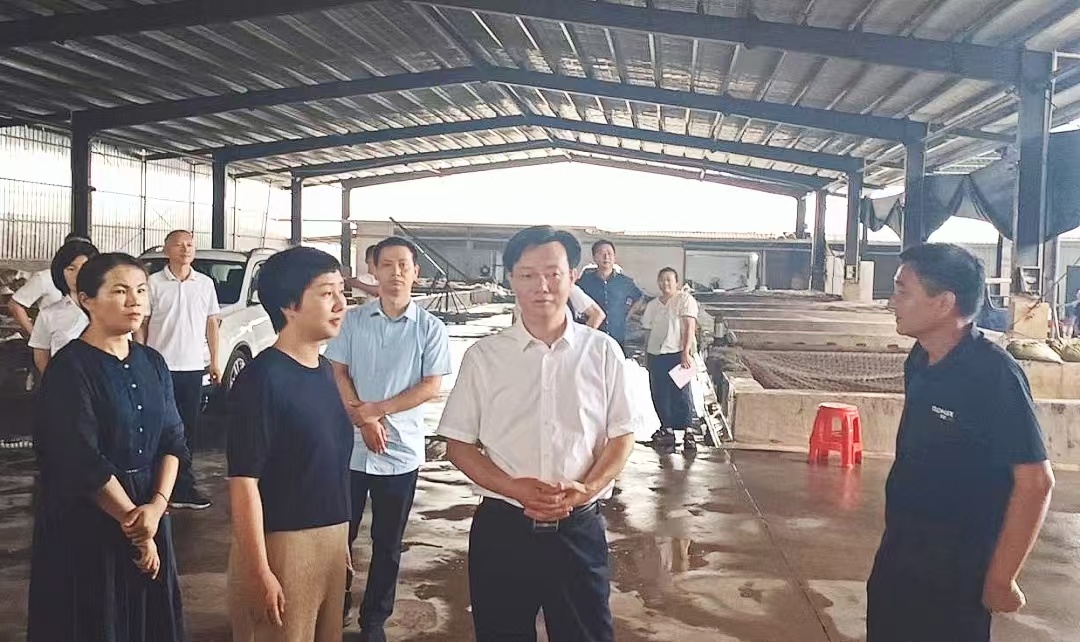 国家融资担保基金来湘开展专题调研