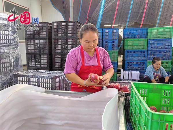 湖南工商大学三下乡：探索月山镇米粉产业链中的致富密码