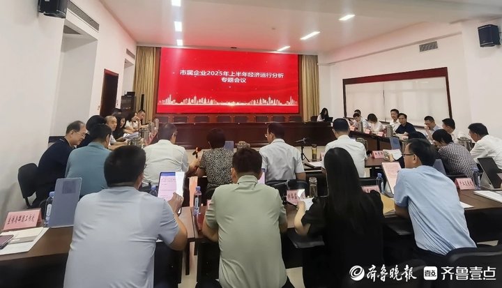 湘科集团召开2025年上半年经济运行分析会
