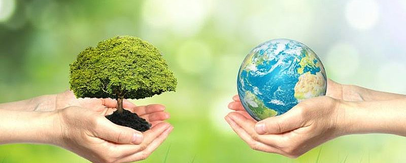 央地国资并购频落子 产业整合逻辑凸显