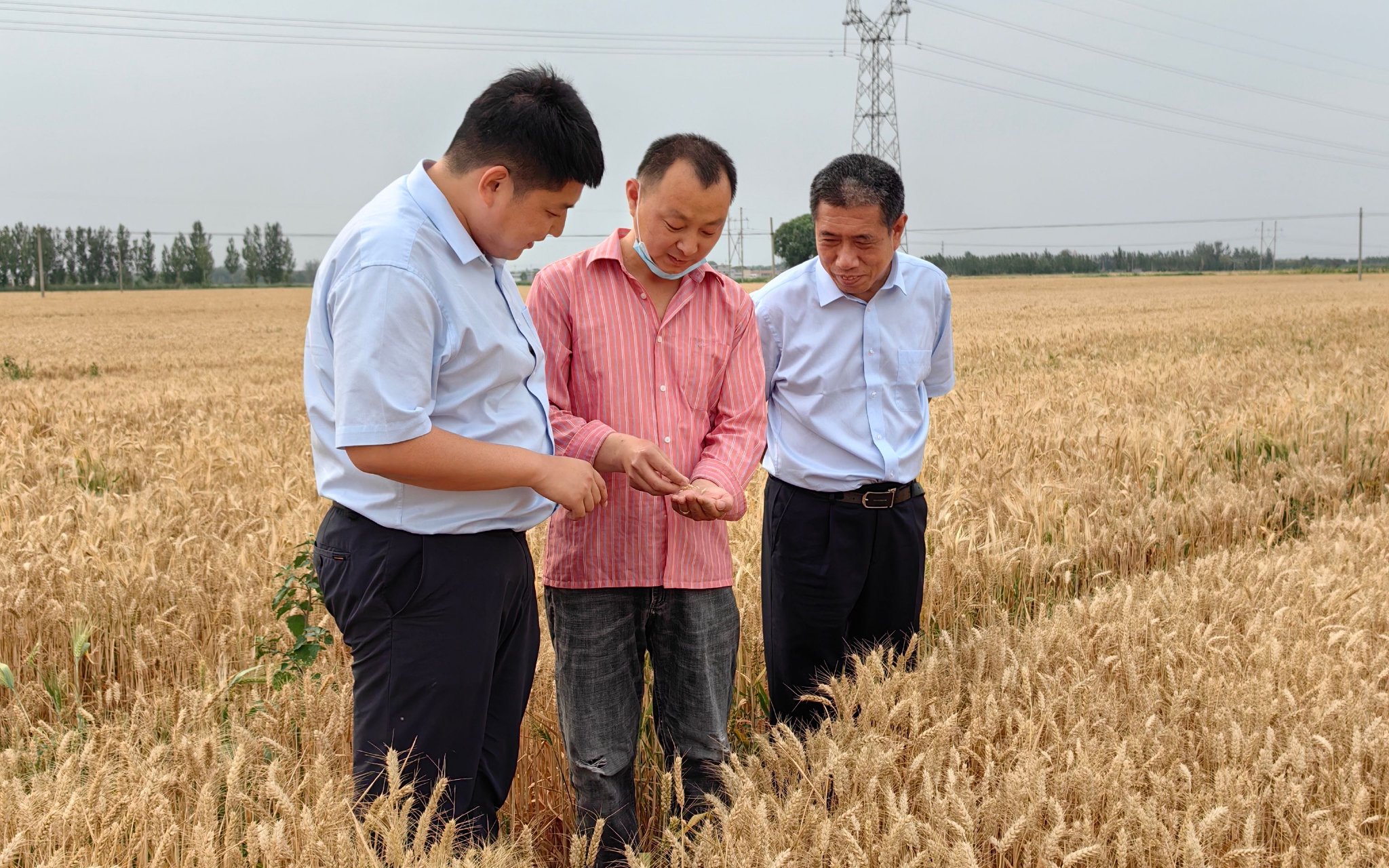 金融加力服务“三农” 持续增强金融供给