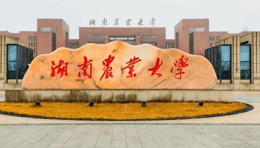 湖南农业集团举办2025年基层党组织书记和党务骨干能力提升培训班