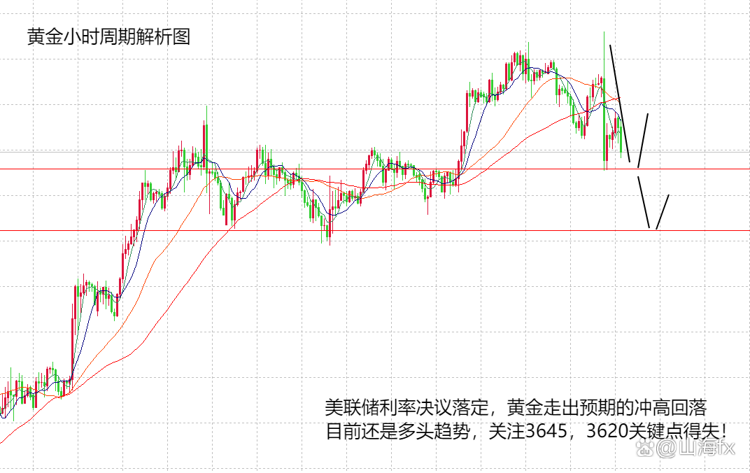 美联储释放降息预期信号 黄金价格再创新高
