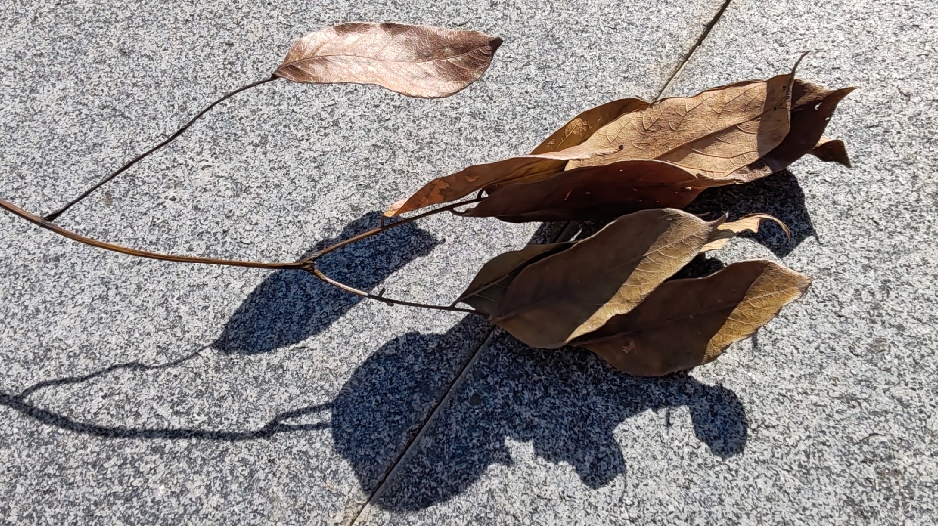 今日立冬 | 天冷了,别让你家小火苗“支棱”起来!