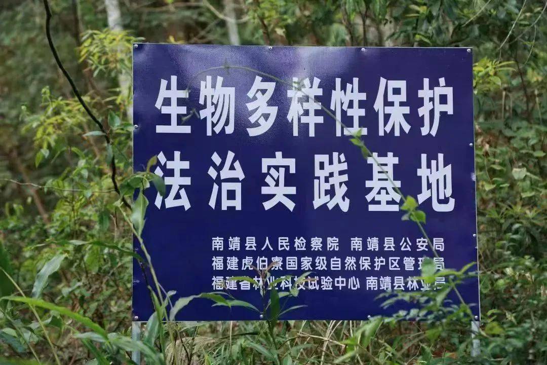 以案普法 | 五人无特种作业操作证，重罚！