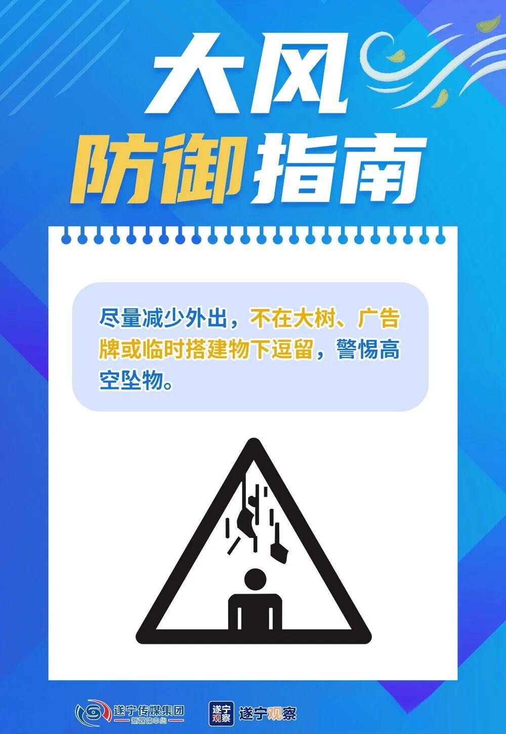 大风吹倒树木砸伤路人 | 大风来袭 如何防御?