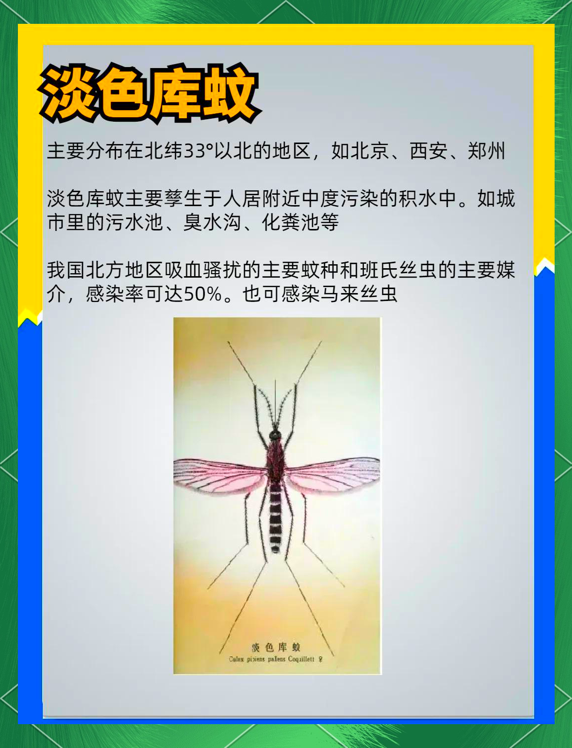 唠“科”话丨为啥蚊子总叮你?“招蚊”跟血型相关?