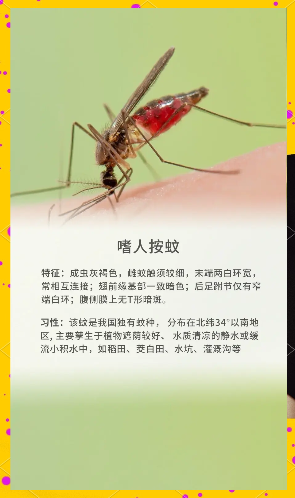 唠“科”话丨为啥蚊子总叮你?“招蚊”跟血型相关?