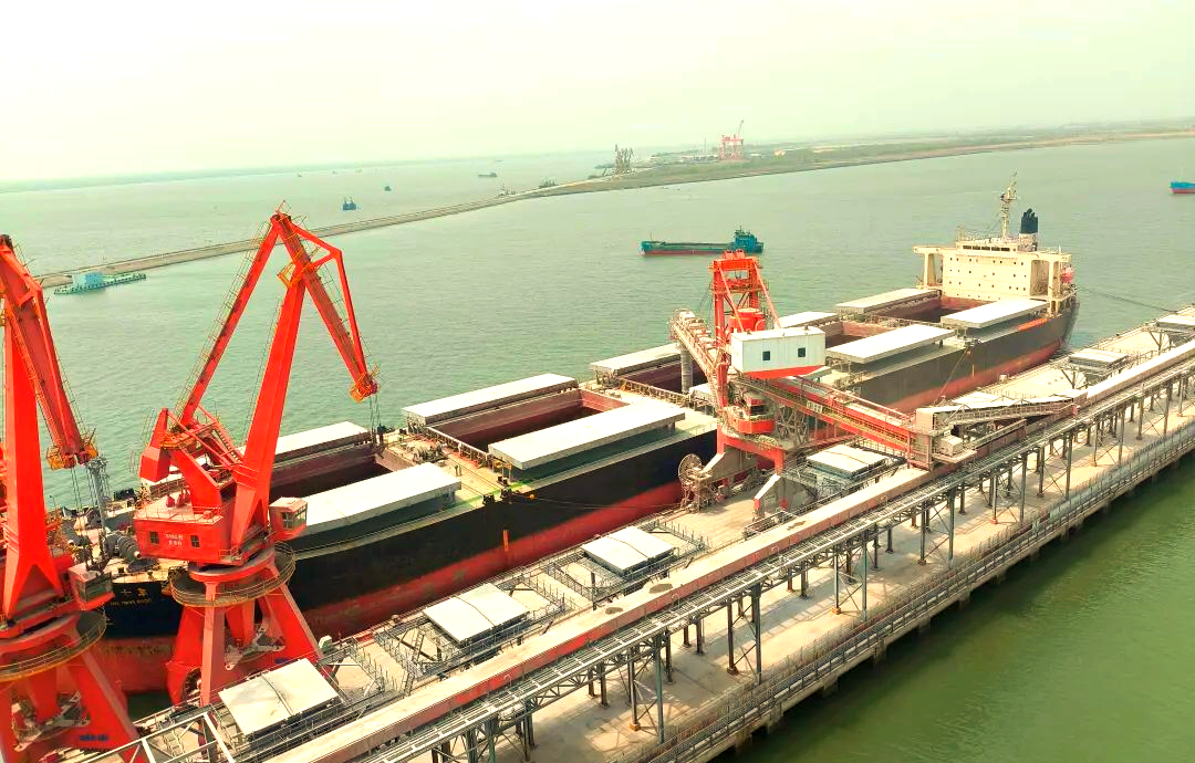 中国重要粮食产区三江平原粮运专线焕新 助力北粮南运