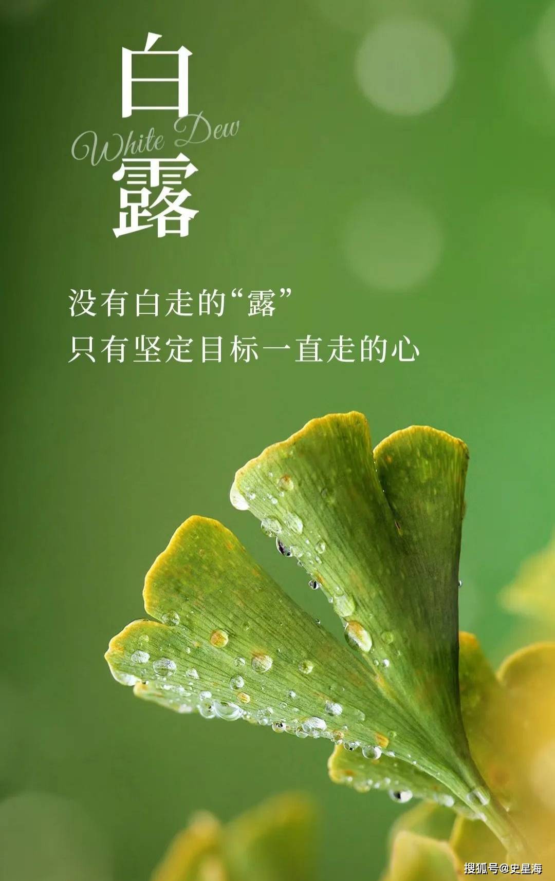 节气物候图鉴:白露至凉意生 全国玉露生凉地图看哪里率先迎秋凉