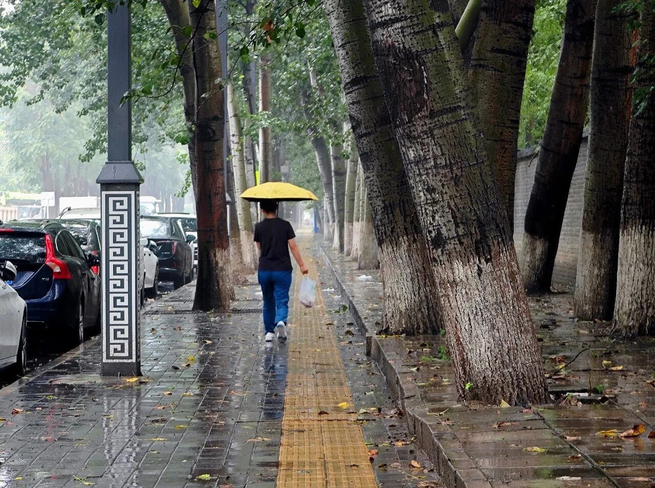 中央气象台:四川重庆湖北等地局地有暴雨